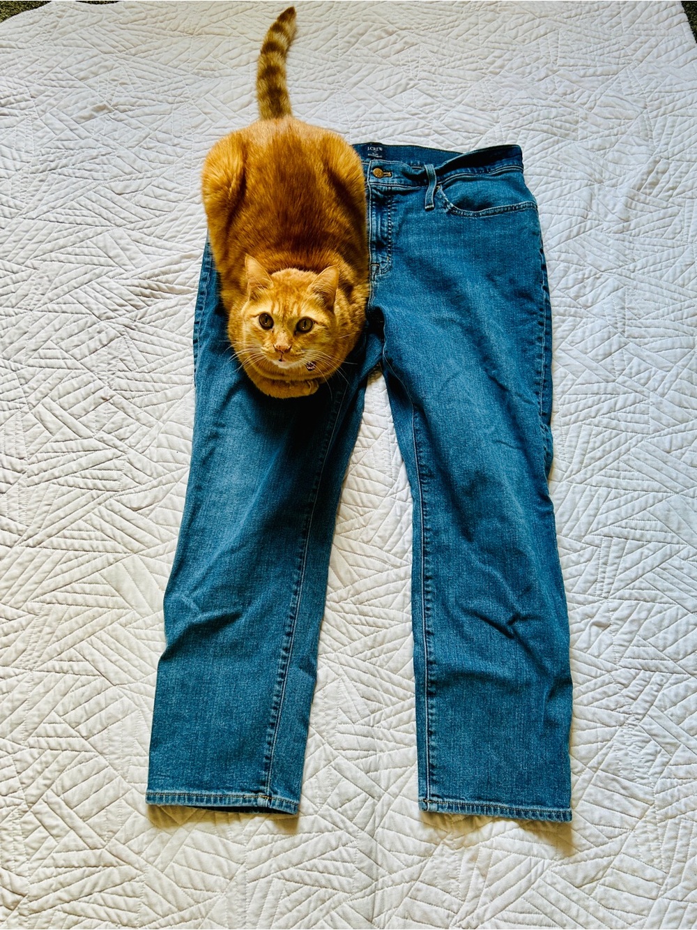 Classic J.Crew Slim Boyfriend Jeans